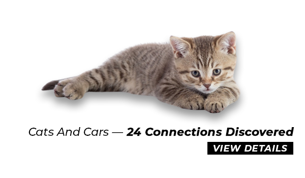 Car Brands With Cat In Their Logo