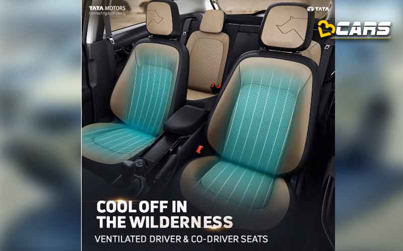 Tata punch nexon harrier safari kaziranga edition reach dealership