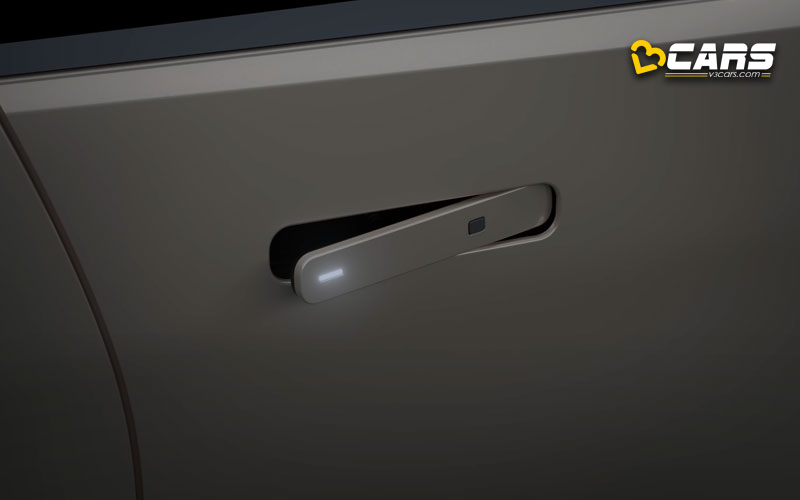 Flush Door Handles