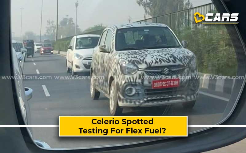 Celerio Spotted