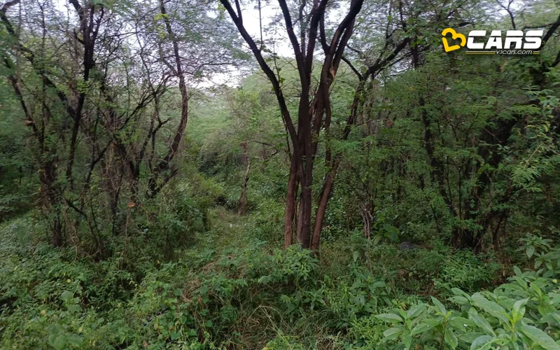 volvo car india reverse project plantation aravalli gurugram