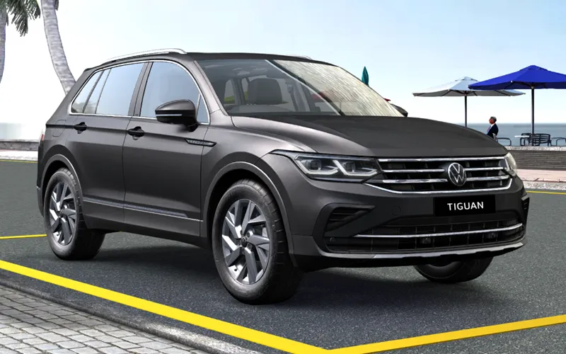 Tiguan Dolphin Grey