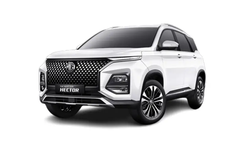 Hector (2023-2025) Candy White