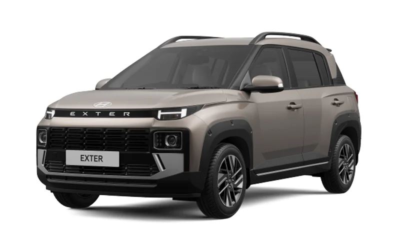 Exter Golden Bronze