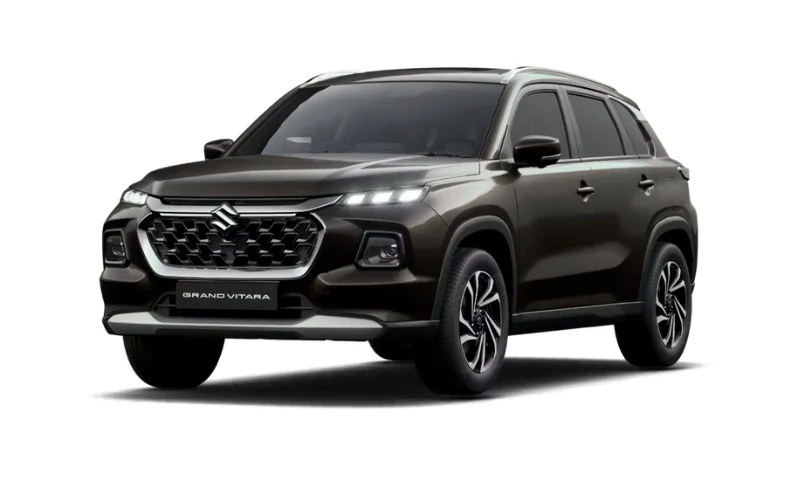Grand Vitara Chestnut Brown
