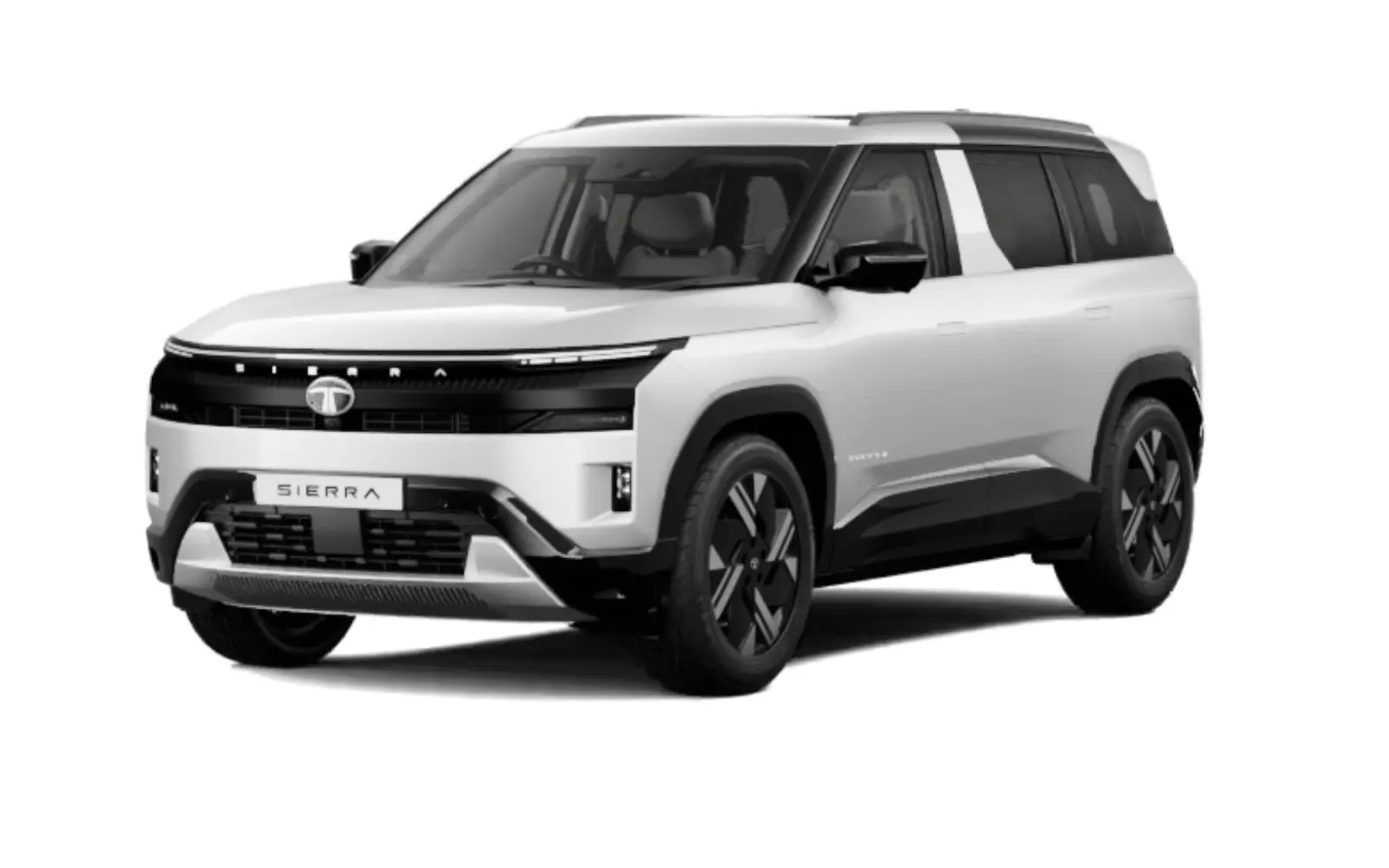 Sierra Pristine White