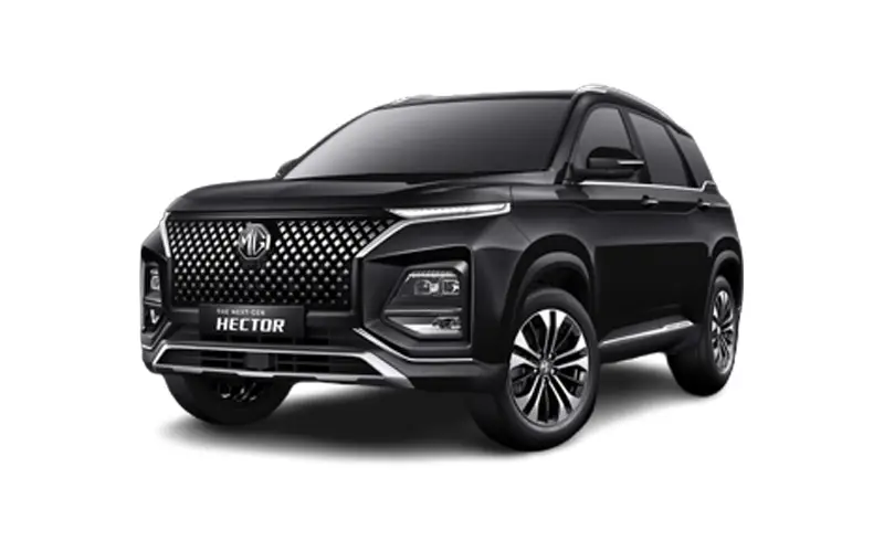 Hector (2023-2025) Starry Black