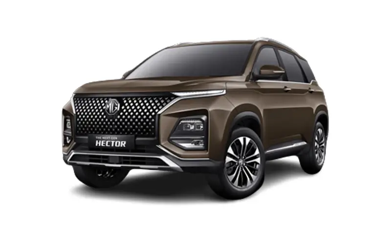Hector (2023-2025) Dune Brown