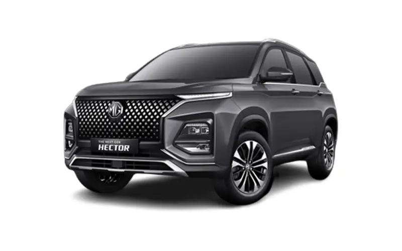 Hector (2023-2025) Havana Grey