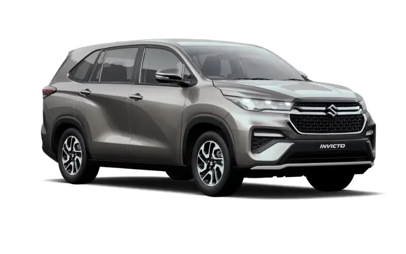 Invicto STELLAR BRONZE